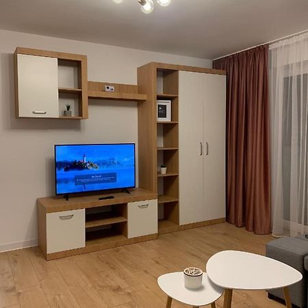 Sunny Apartment In Suceava Dış mekan fotoğraf